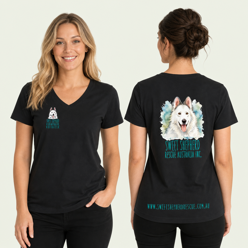 Ladies V Neck T-Shirt